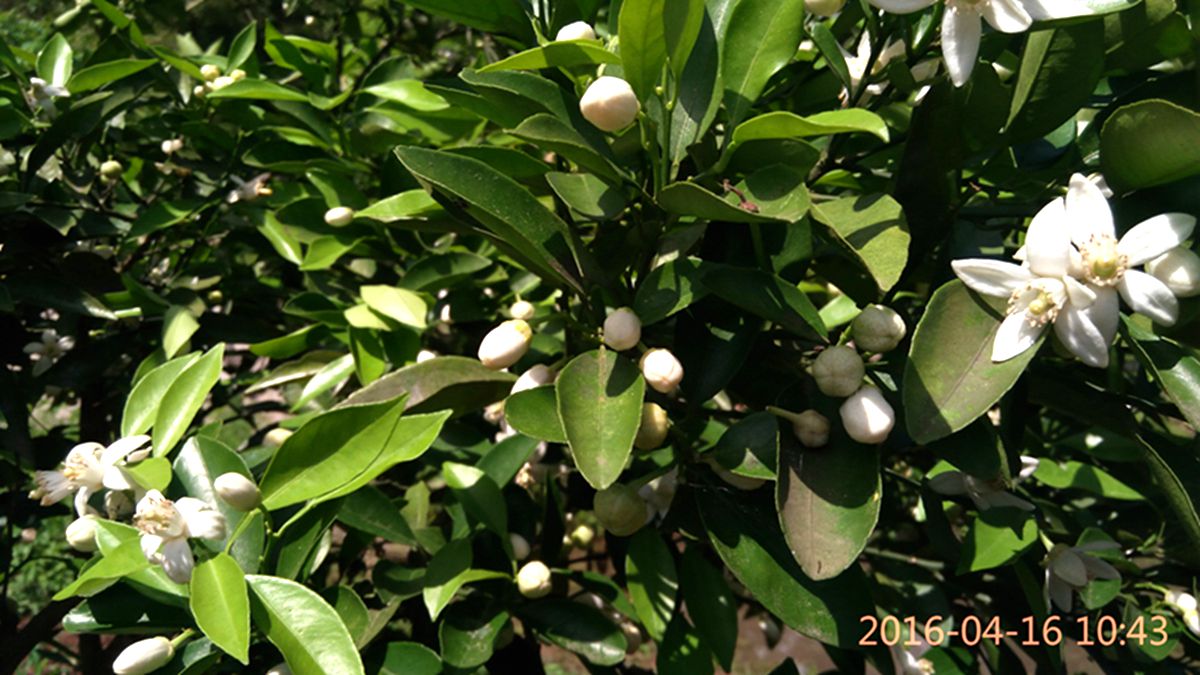 IMG_20160416_104340.jpg