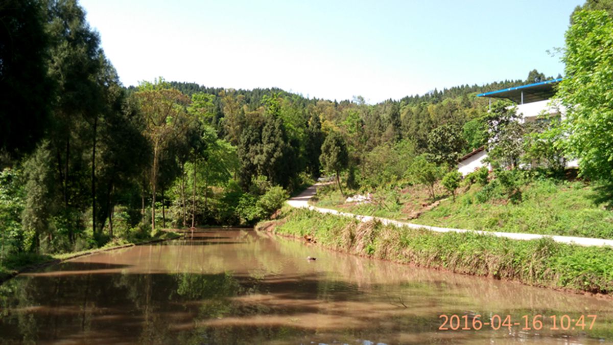 IMG_20160416_104757.jpg