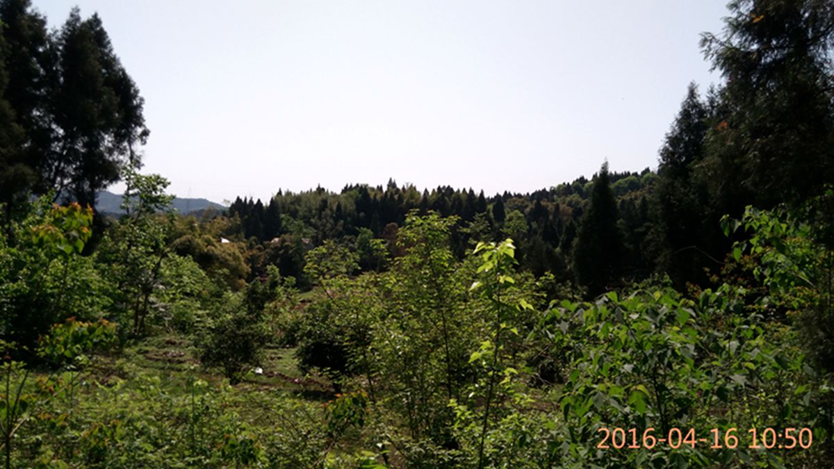 IMG_20160416_105041.jpg