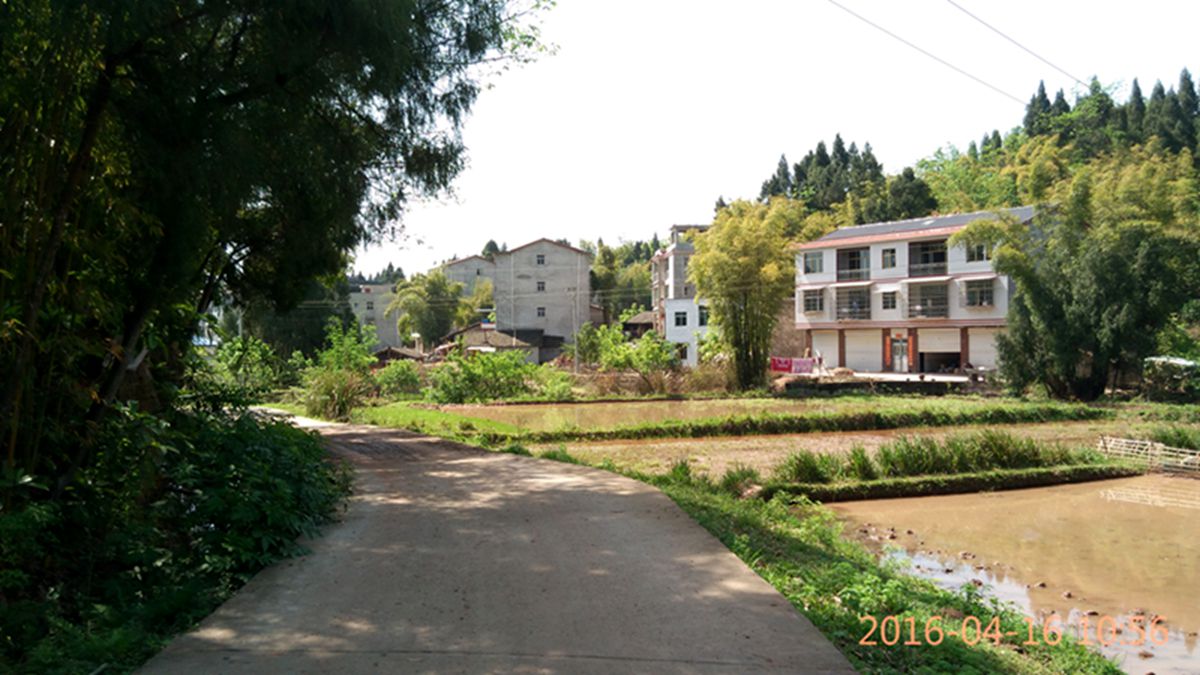 IMG_20160416_105657.jpg