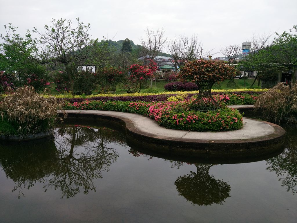 IMG_20160409_112747.jpg