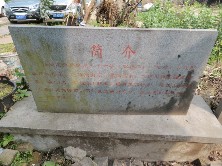 DSCI4919.jpg