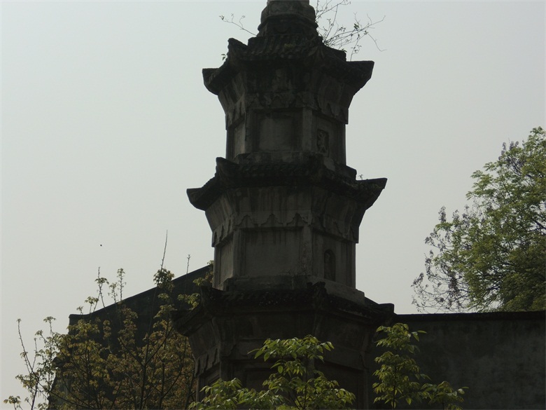 DSCI4975.jpg