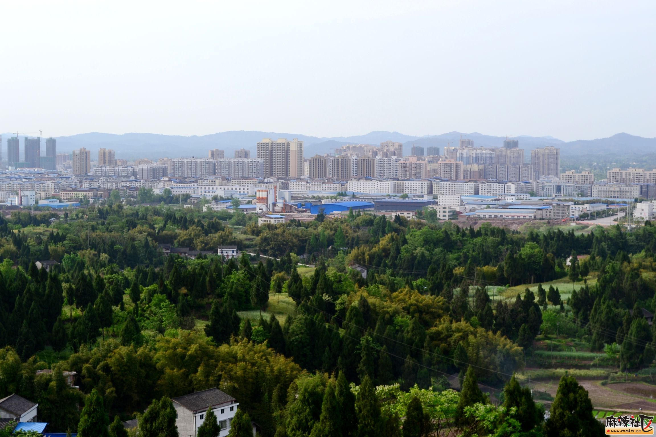 DSC_7288.JPG
