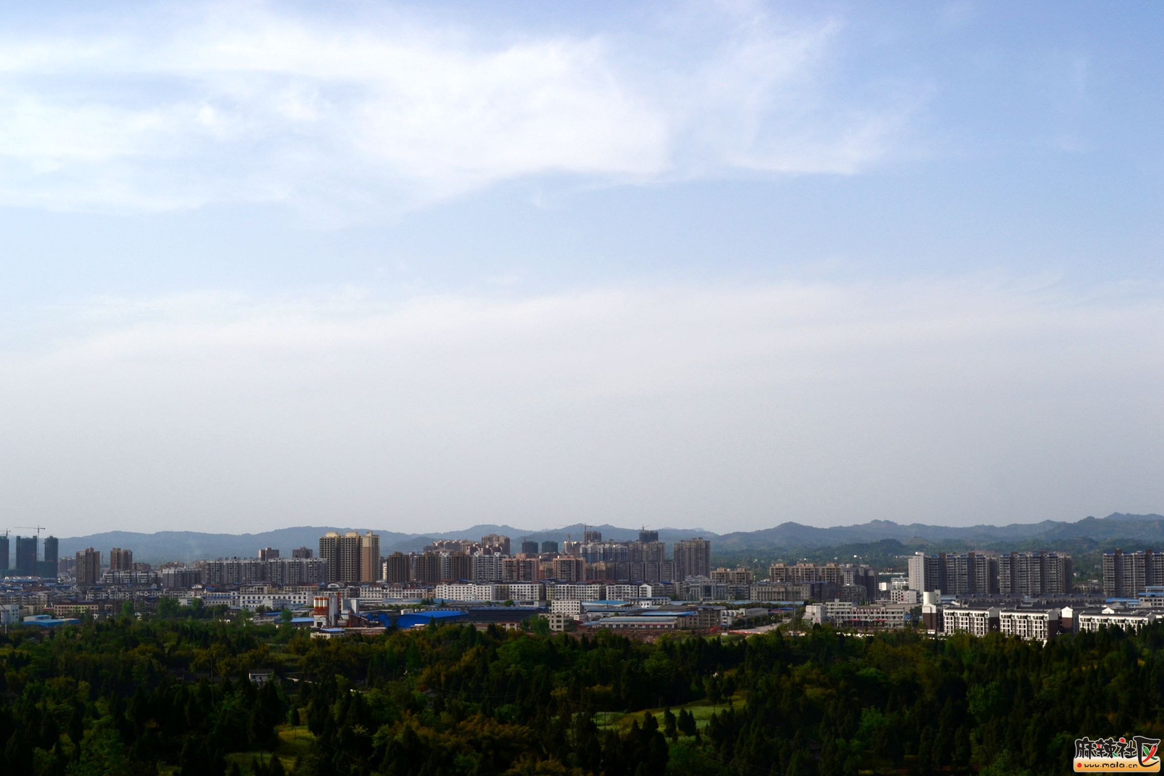 DSC_7281.JPG