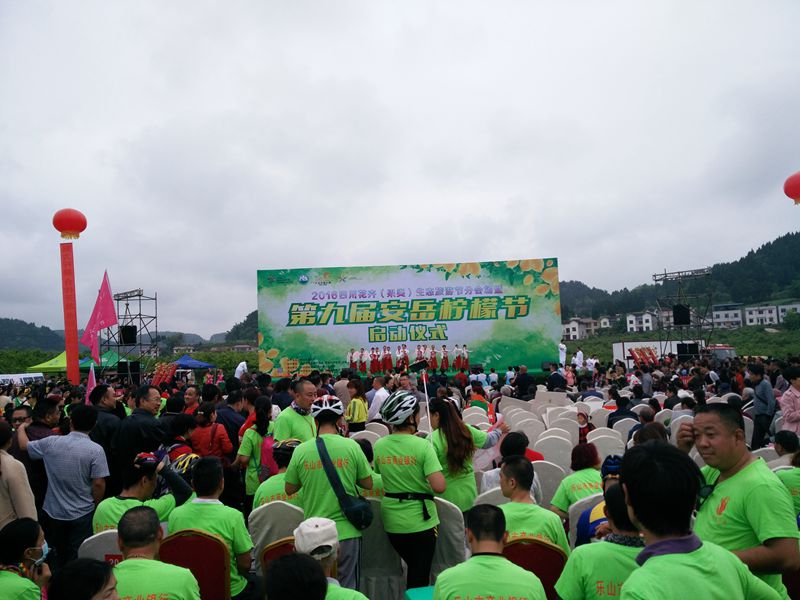 IMG_20160415_092615.jpg
