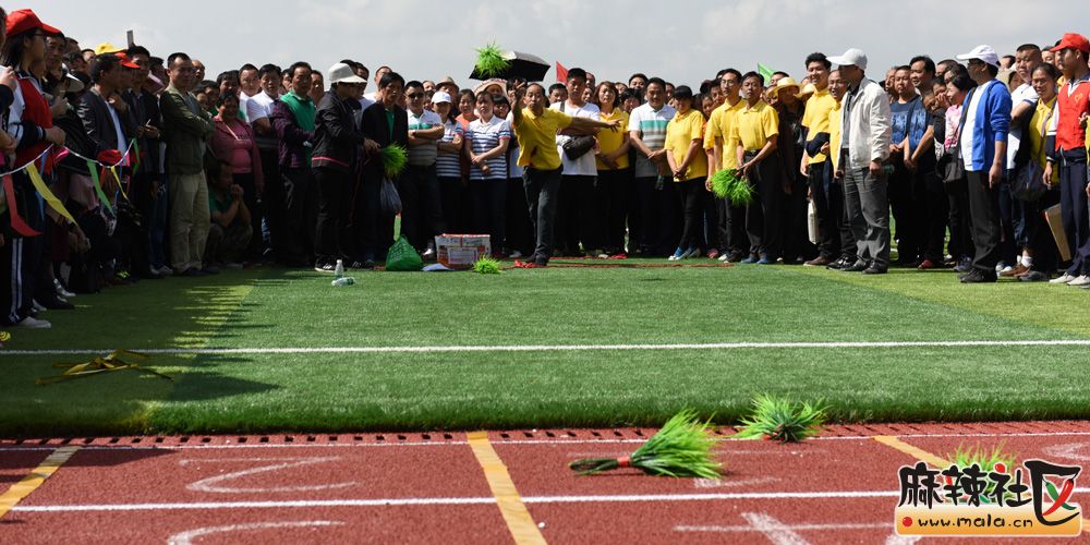 WSD_1893_.jpg