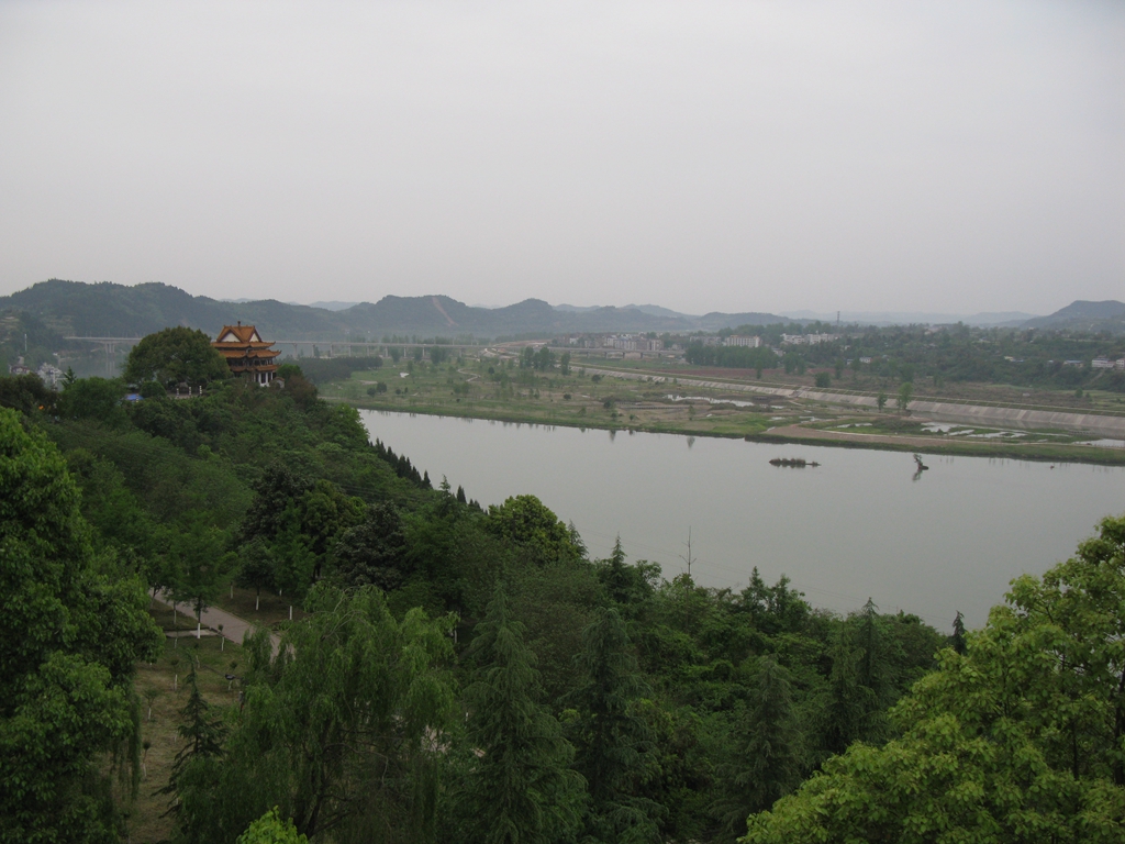 IMG_4463.JPG