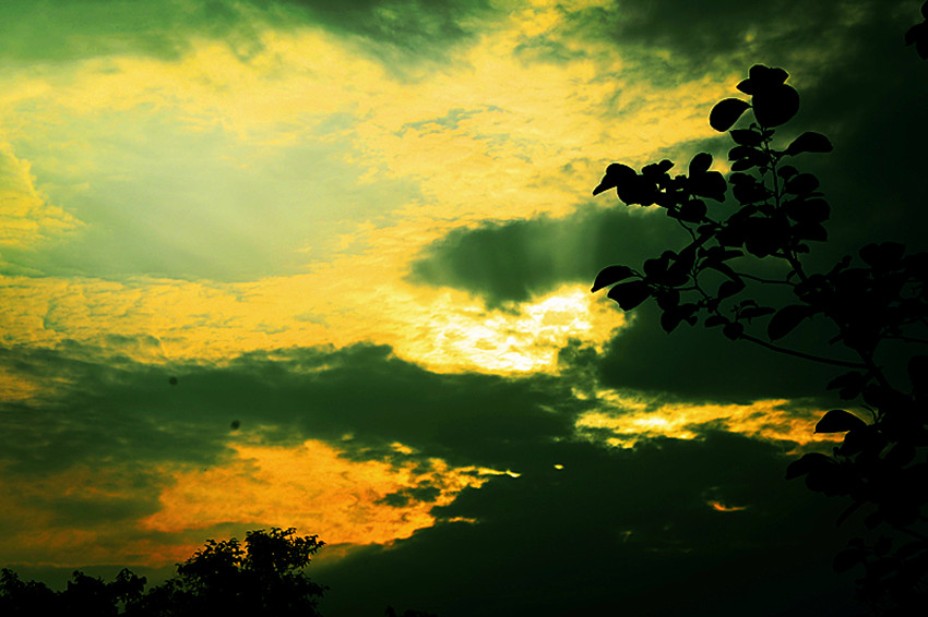 DSC_2176_.jpg