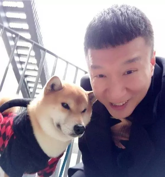 孙红雷的狗是柴犬小葵