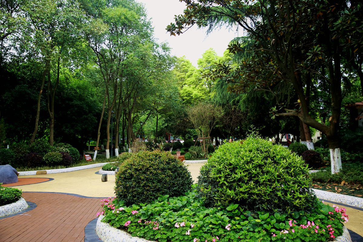 IMGM3368_.jpg