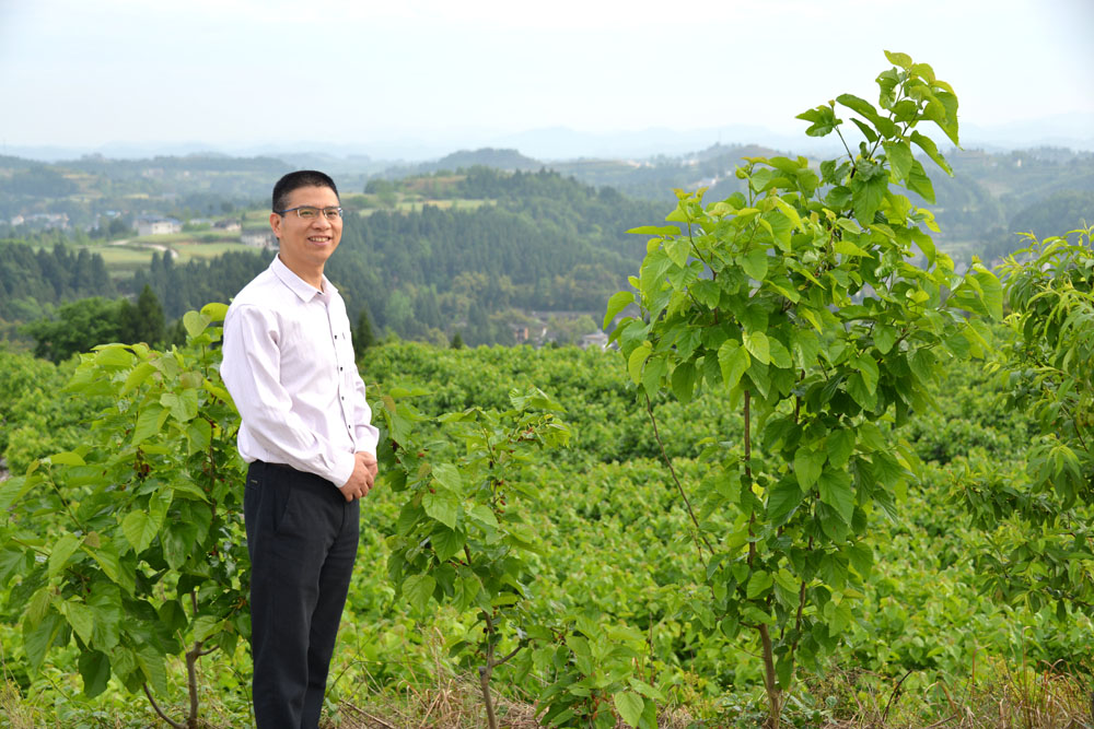 四川敬椹食品科技有限公司经理秦华林