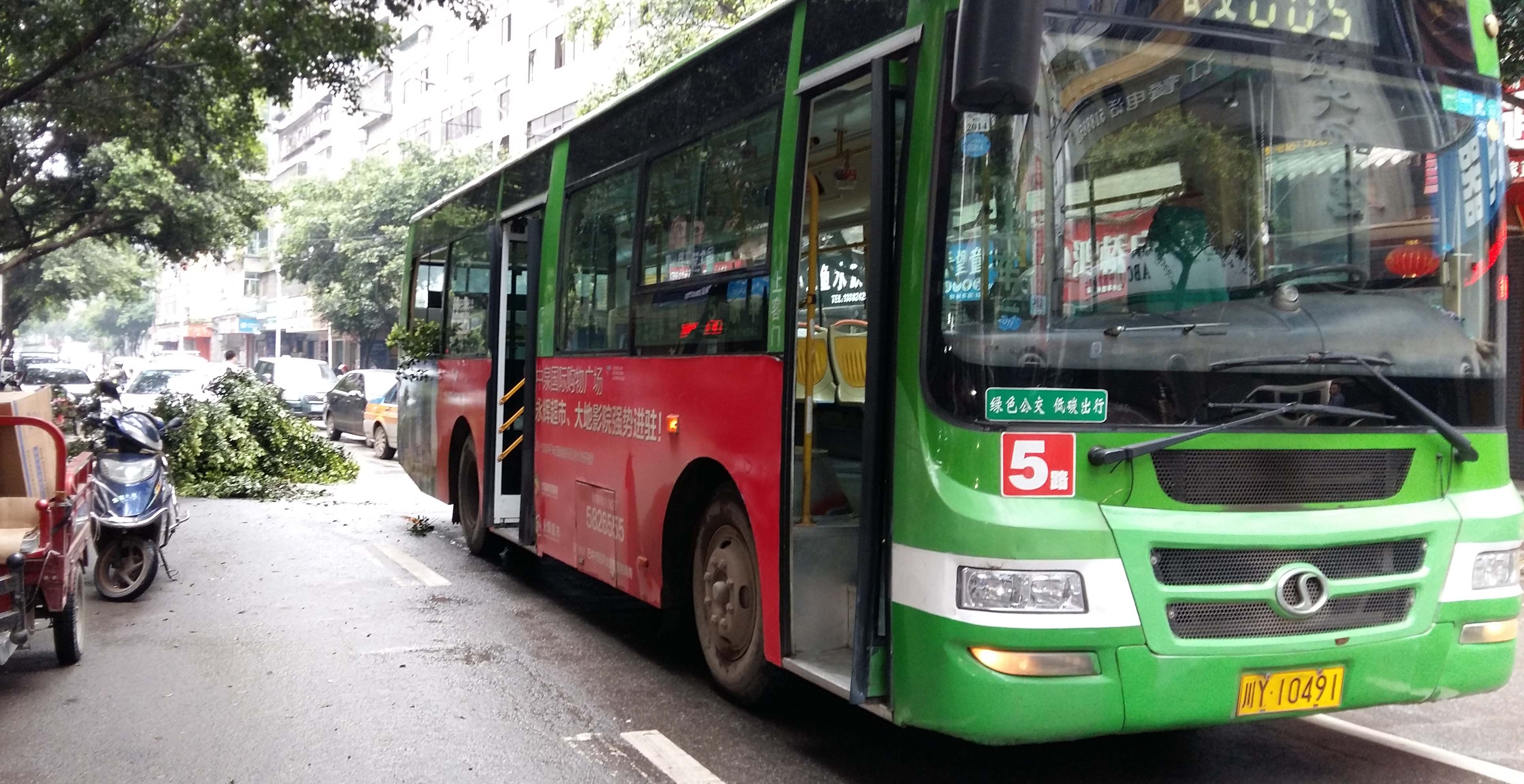 今天早上一辆公交车挂倒一棵行道树-巴中论坛-麻辣社区 四川第一网络