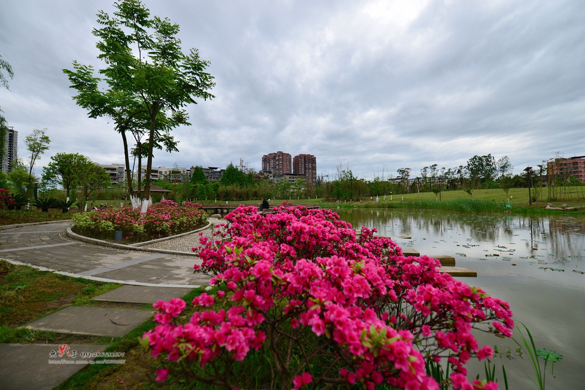 DSC_5646.jpg