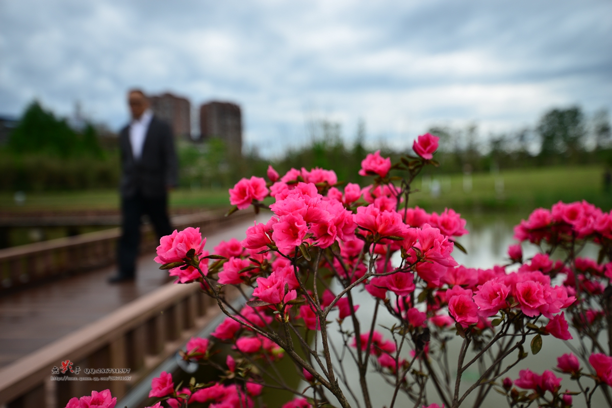 DSC_5700.jpg