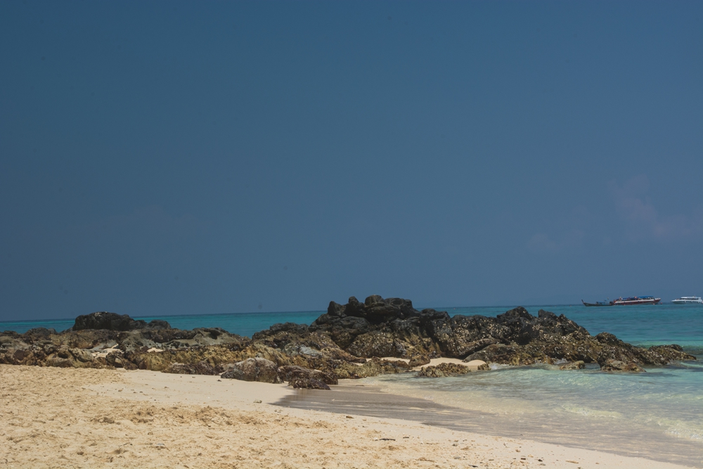 DSC_5527.jpg