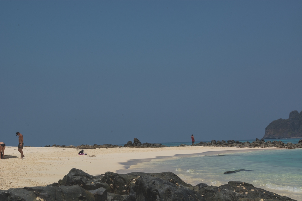 DSC_5529.jpg