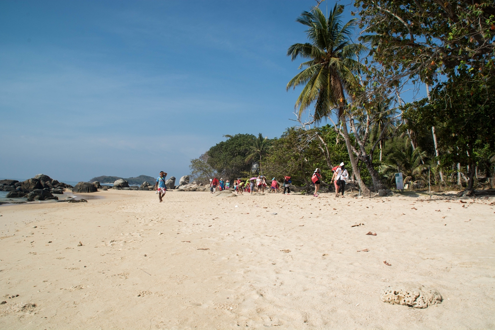 DSC_5787.jpg