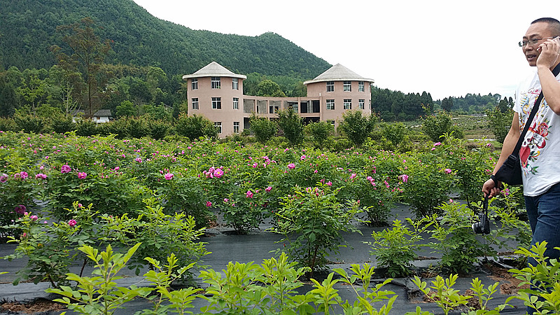 20160426_105439_.jpg