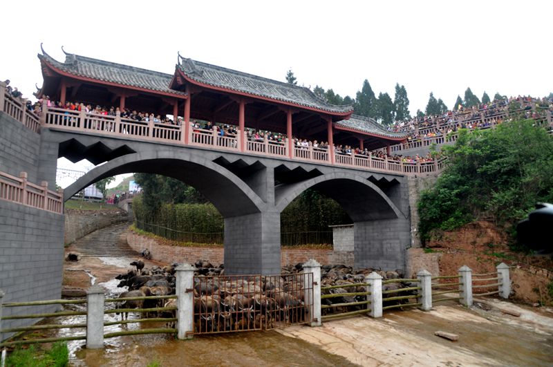 ɽˮ续 090_.jpg