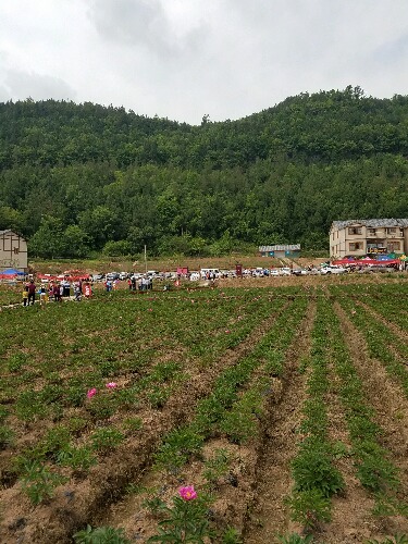 20160430_103939.jpg