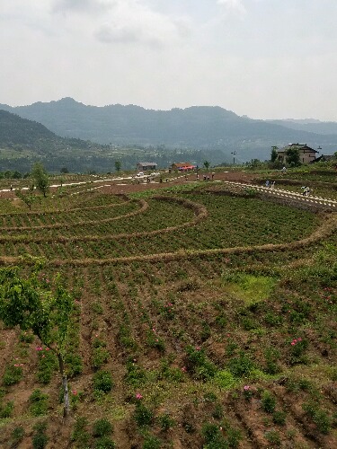 20160430_103637.jpg