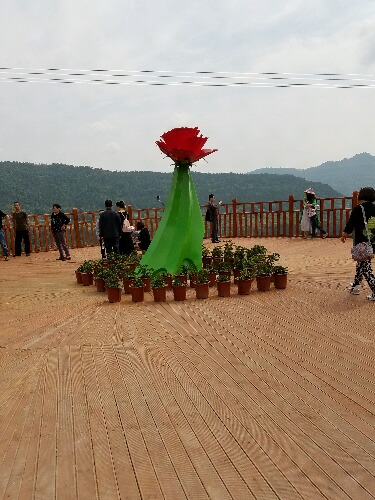 20160430_103605.jpg