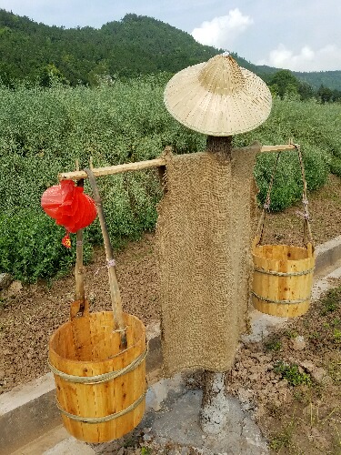 20160430_101517.jpg
