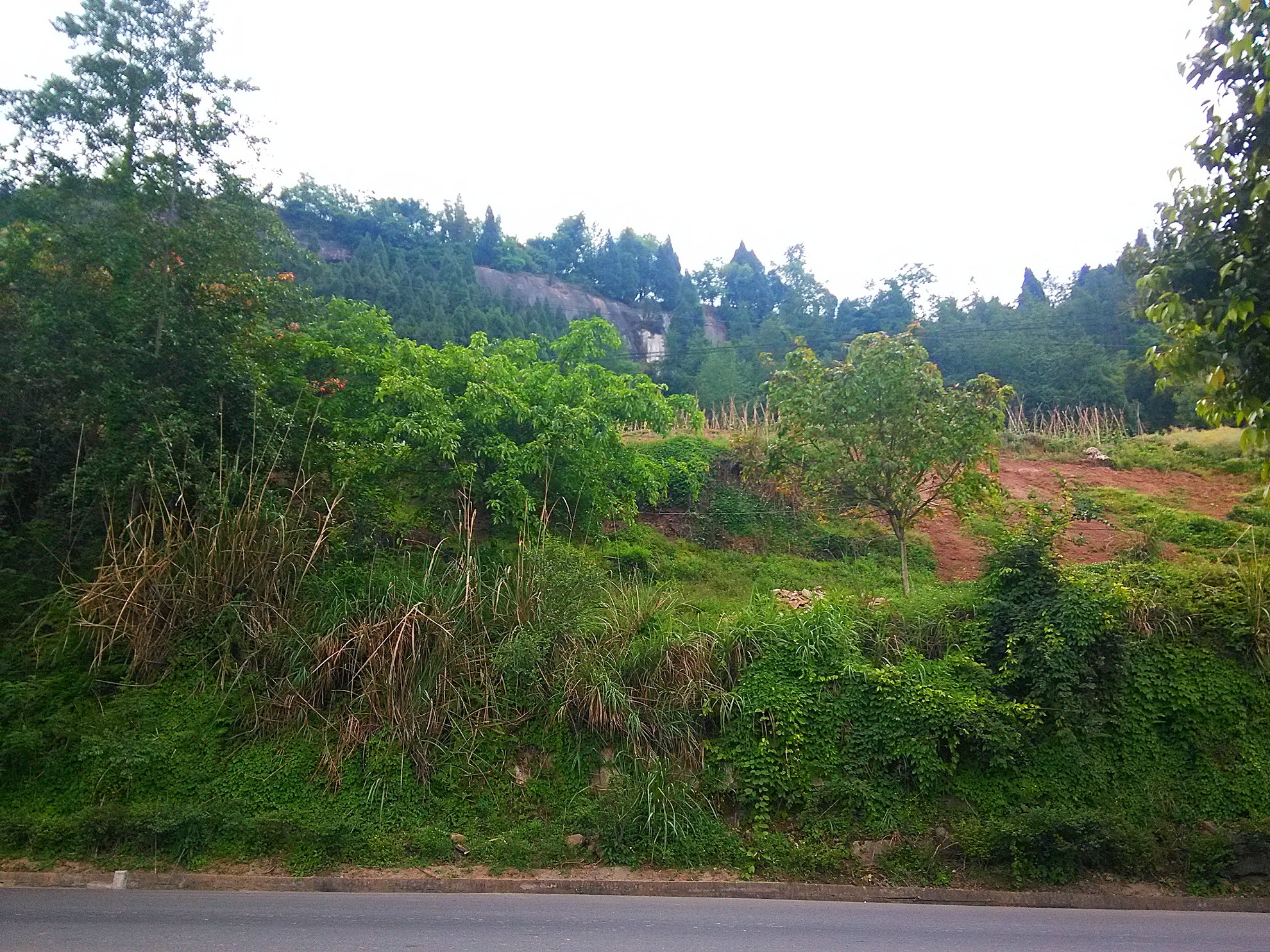 朝代:唐代 司空曙 原文 南见青山道,依然去国