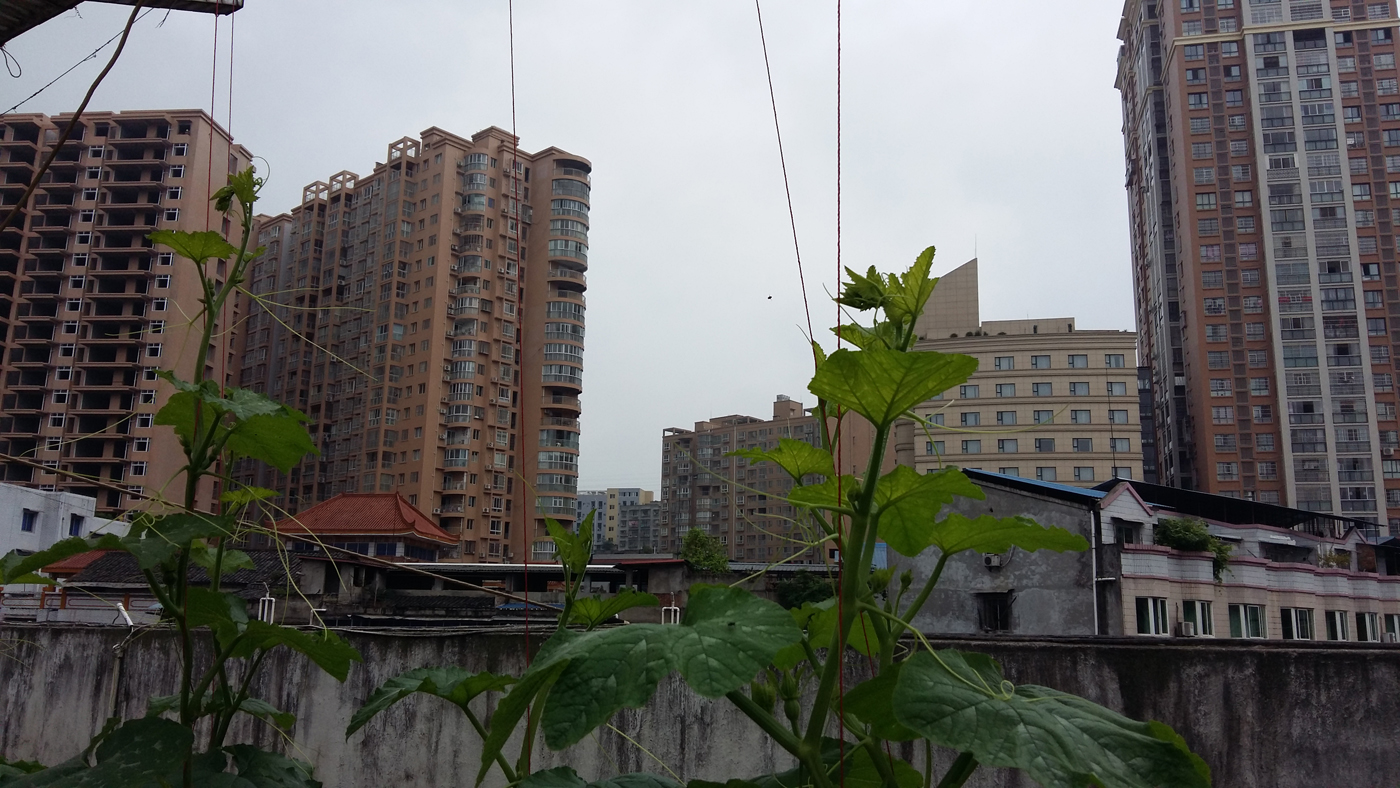 20160425_103829.jpg