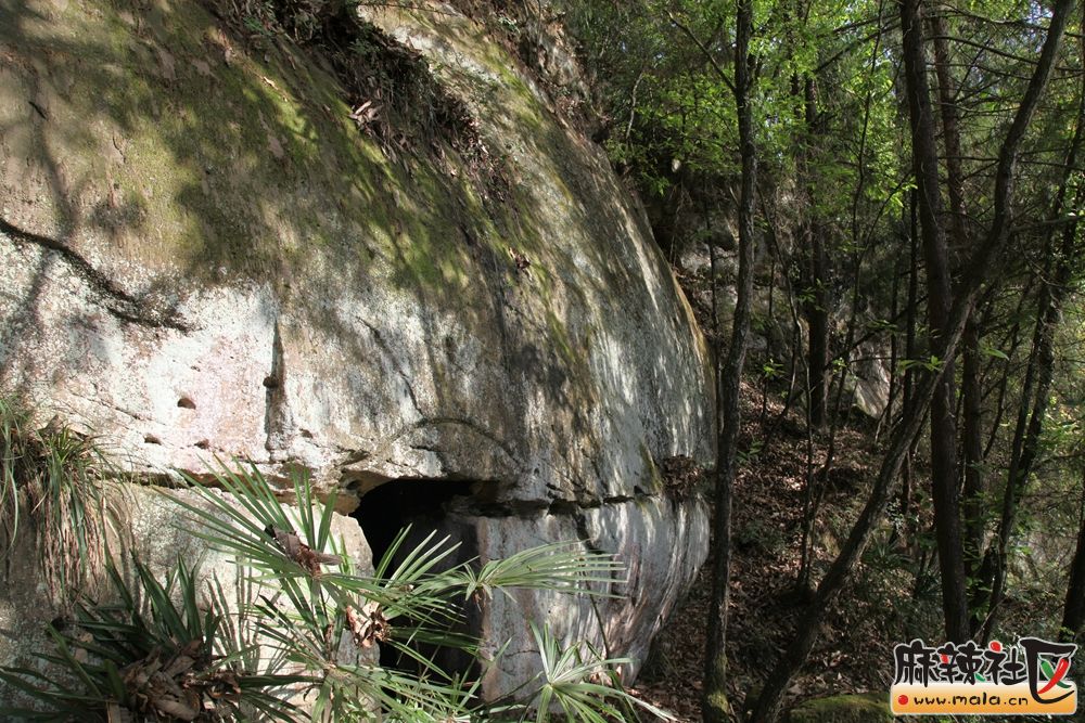 天池镇或发现保存比较完整的白莲教农民起义遗址-南江论坛-麻辣社区