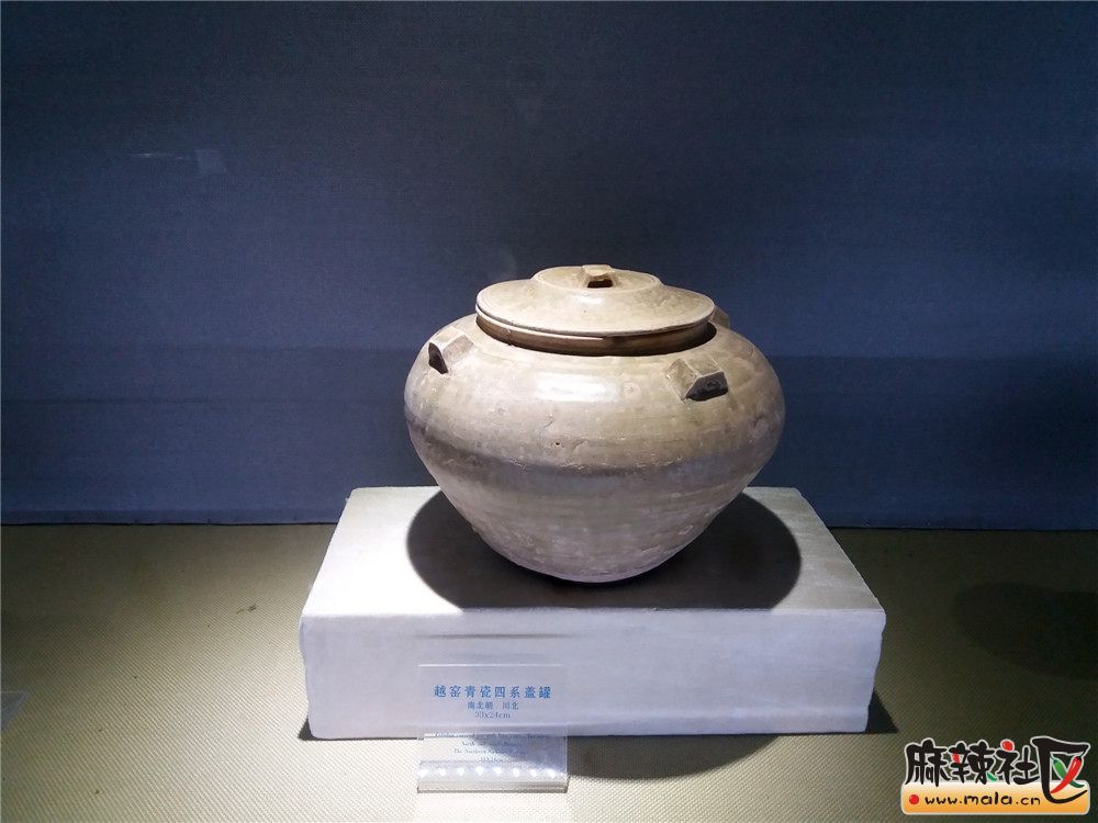 20160413_100819.jpg