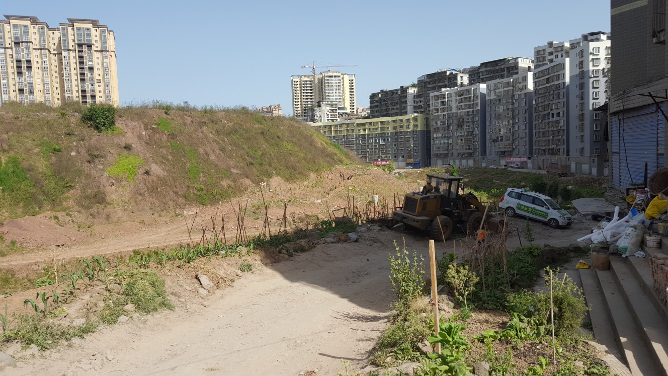 conew_20160502_161215.jpg