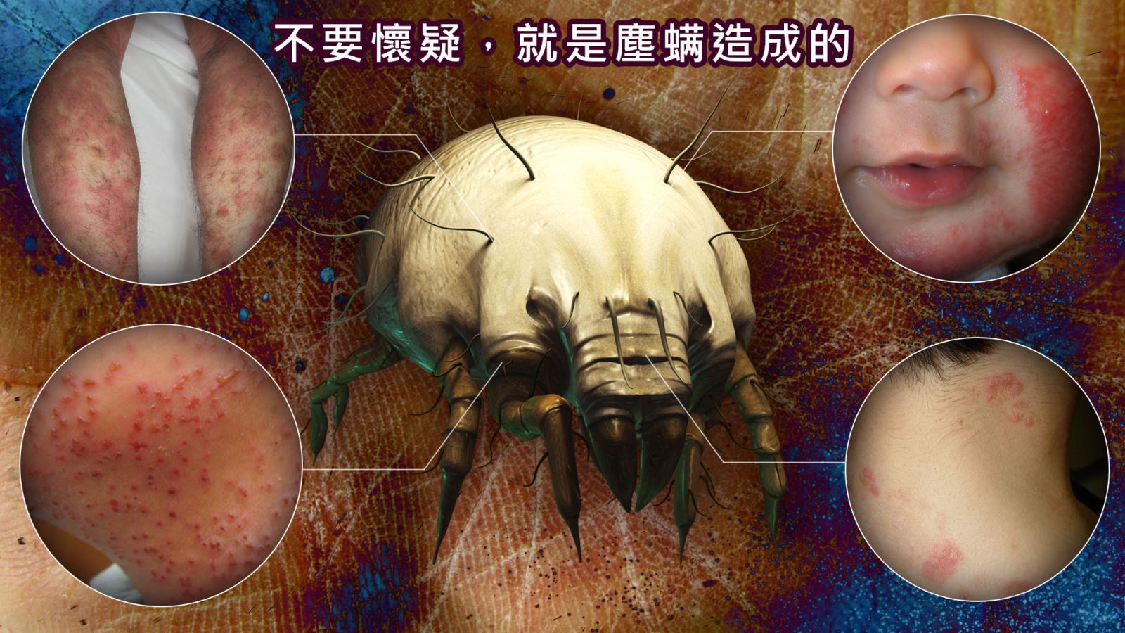 P6.jpg