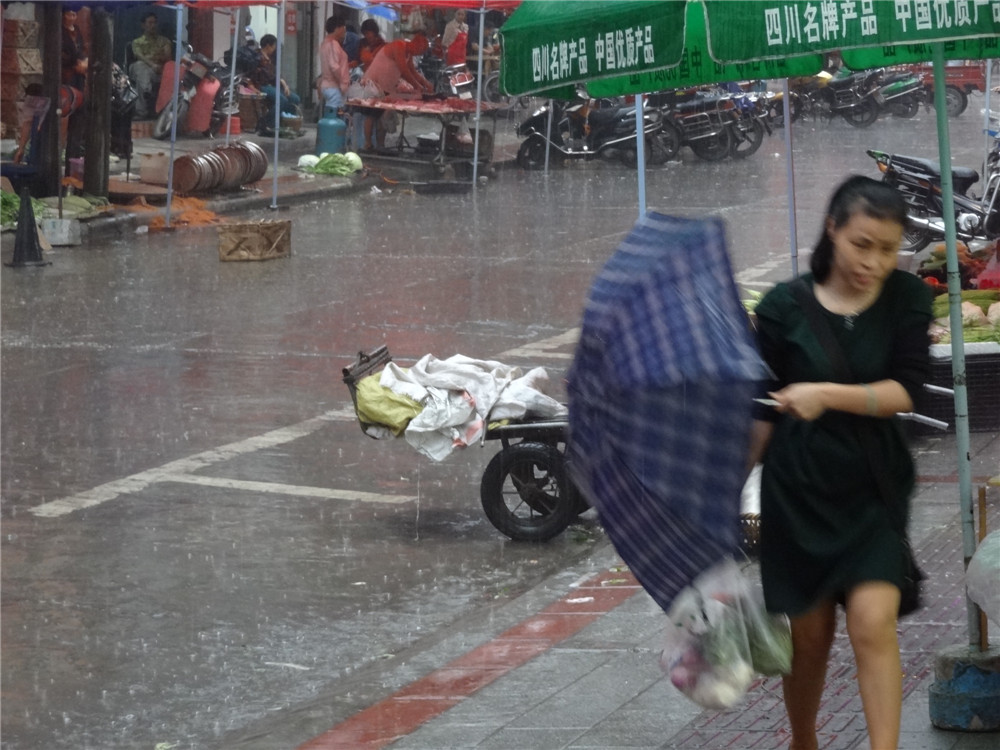 DSC02785.jpg