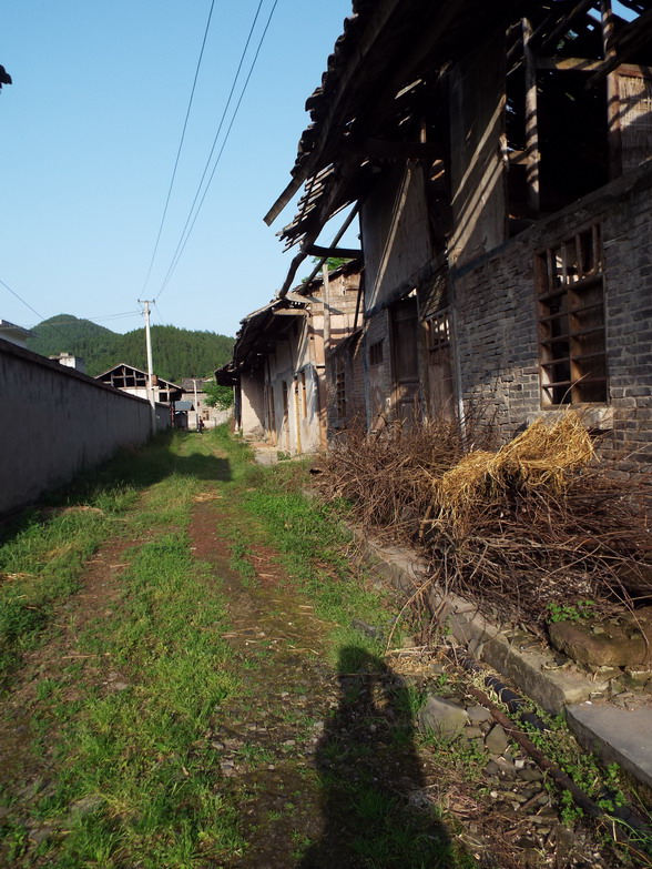 DSCF3244.jpg