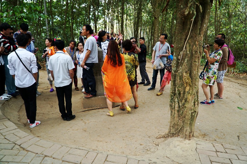 DSC02993_conew1.jpg
