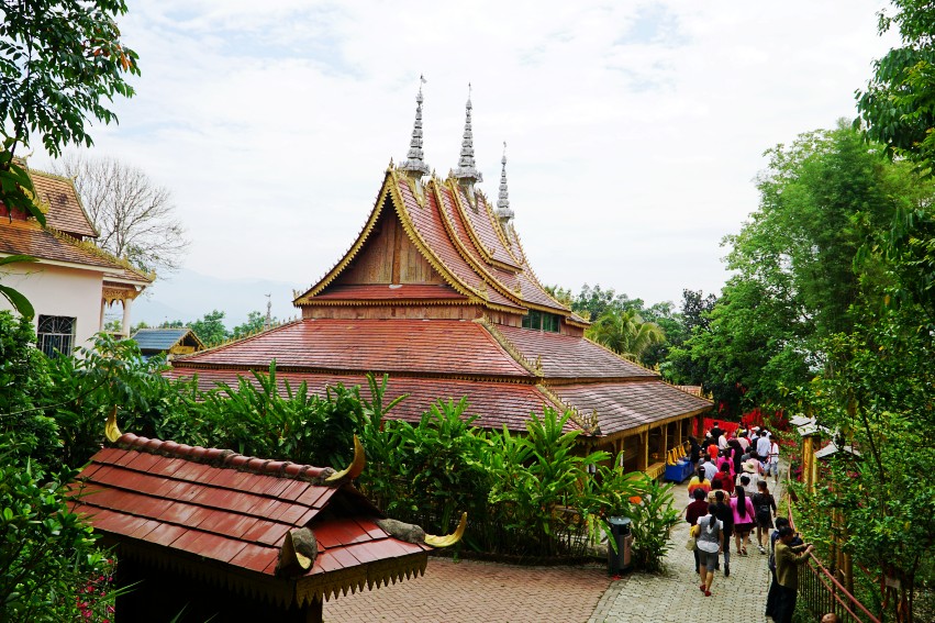 DSC02994_conew1.jpg