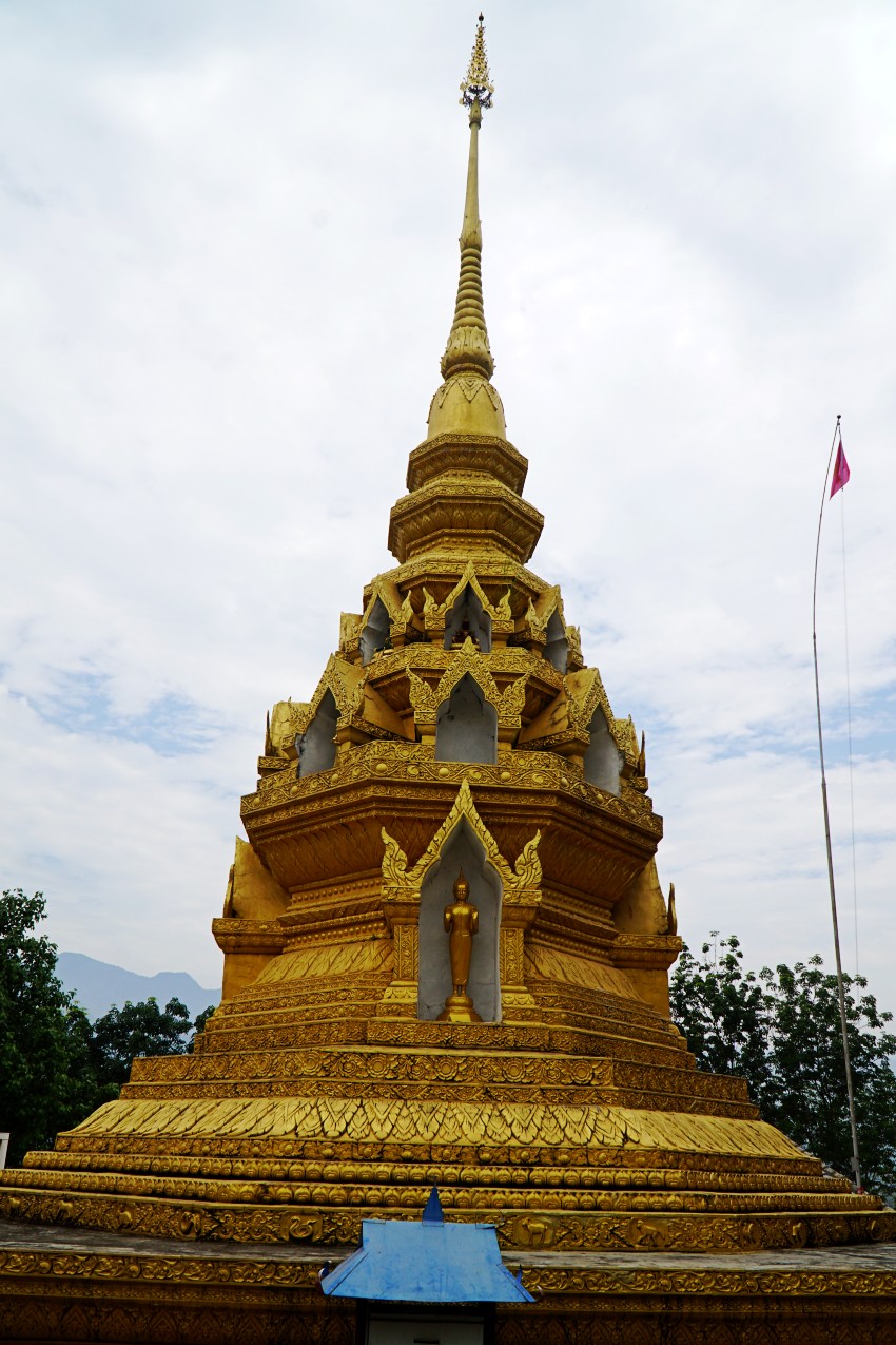 DSC02995_conew1.jpg