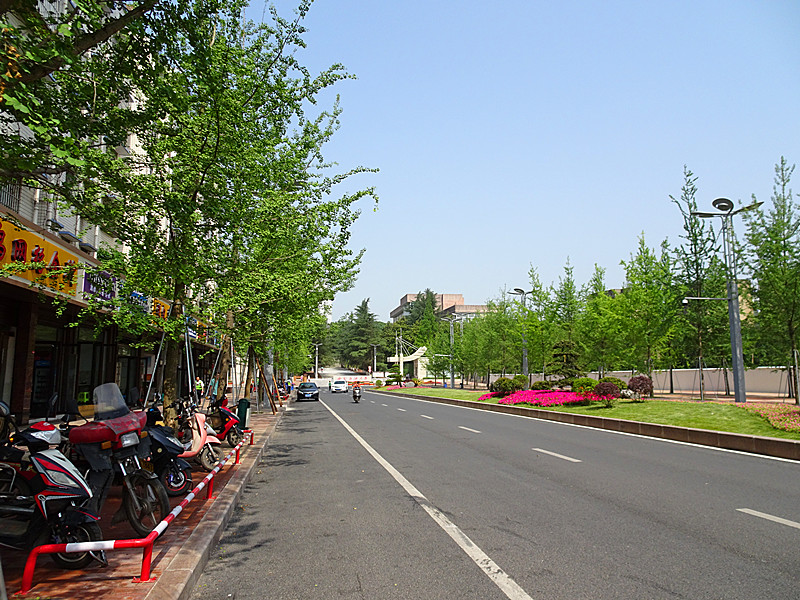 DSC05100_.jpg