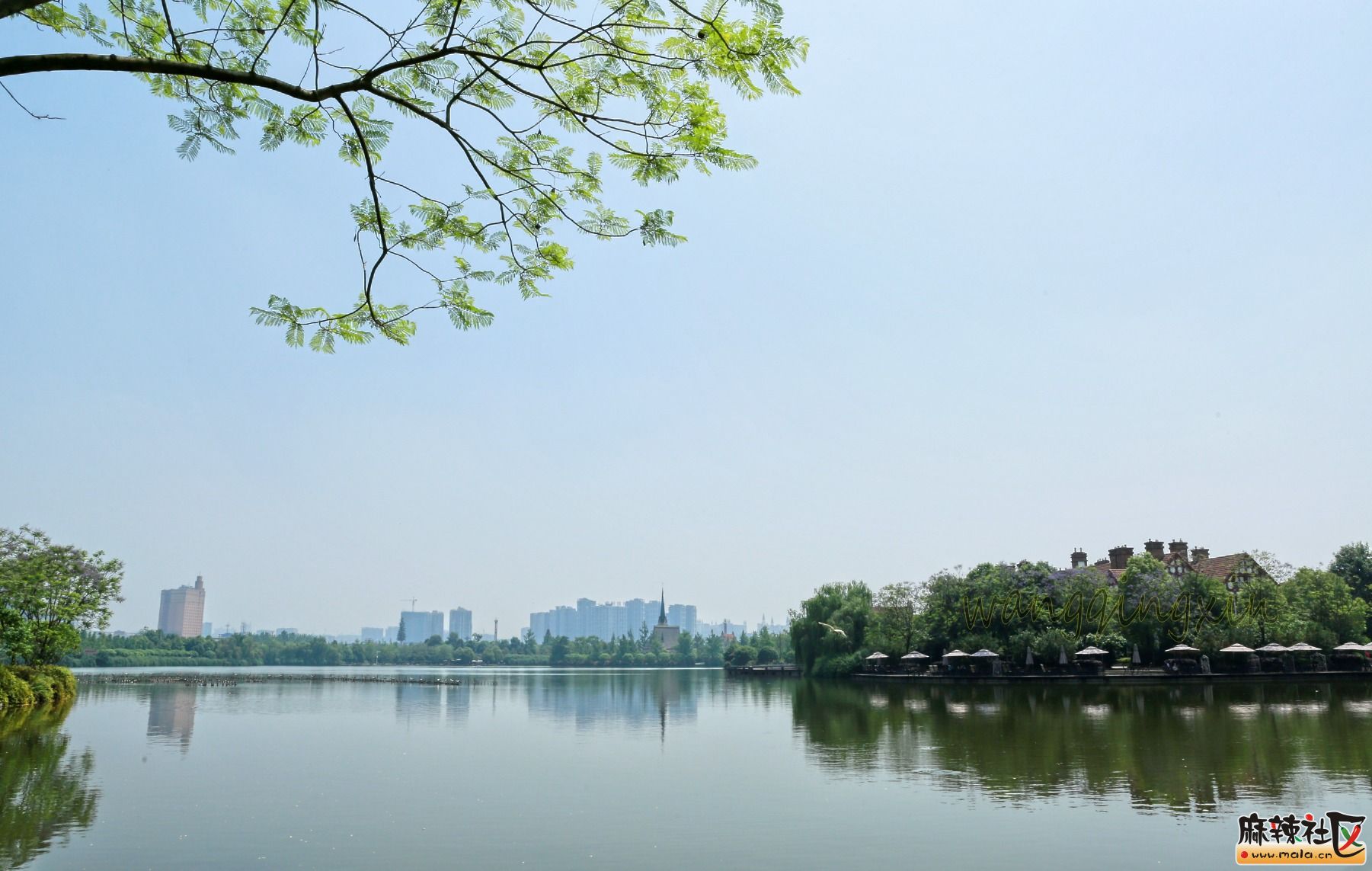 成都南湖公園掠影