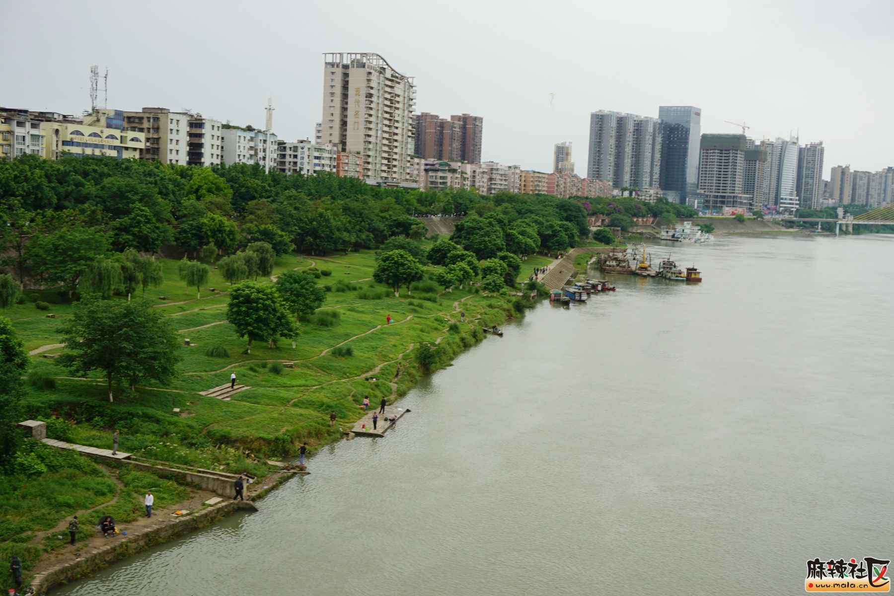 大雨过后,嘉陵江畔,绿得招摇,绿得醉人!