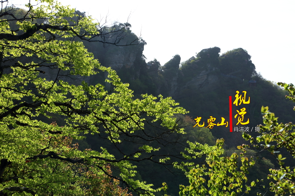 0I8A6636.JPG