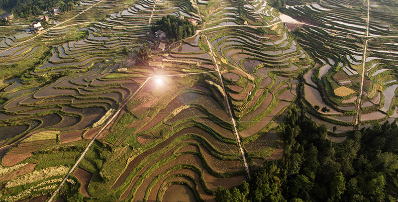 DJI_0074_1副本副本.jpg