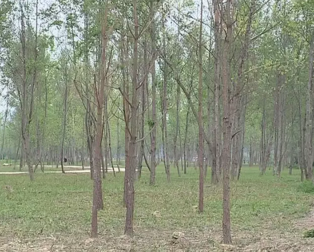 微信截图_20160518195351.png
