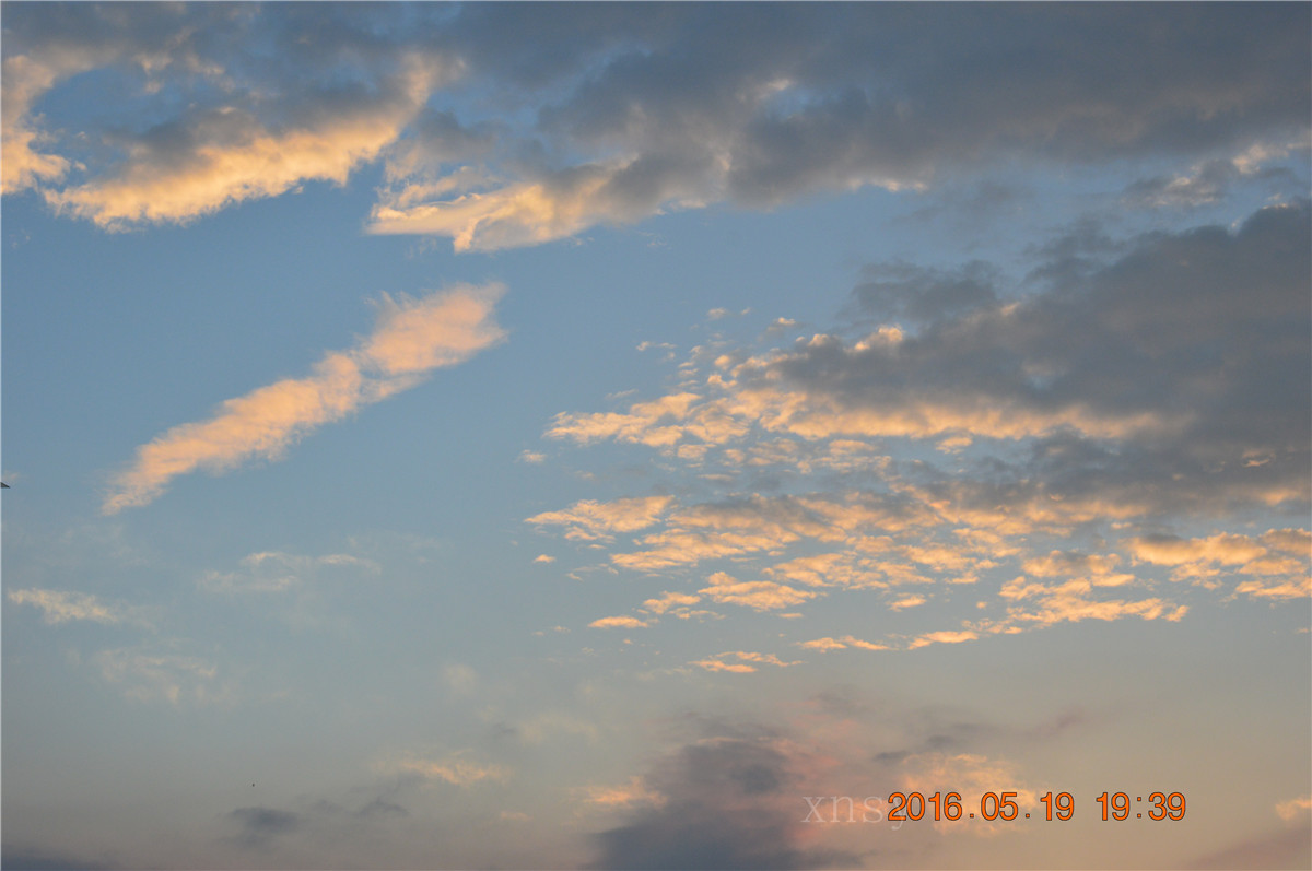 DSC_0019.JPG