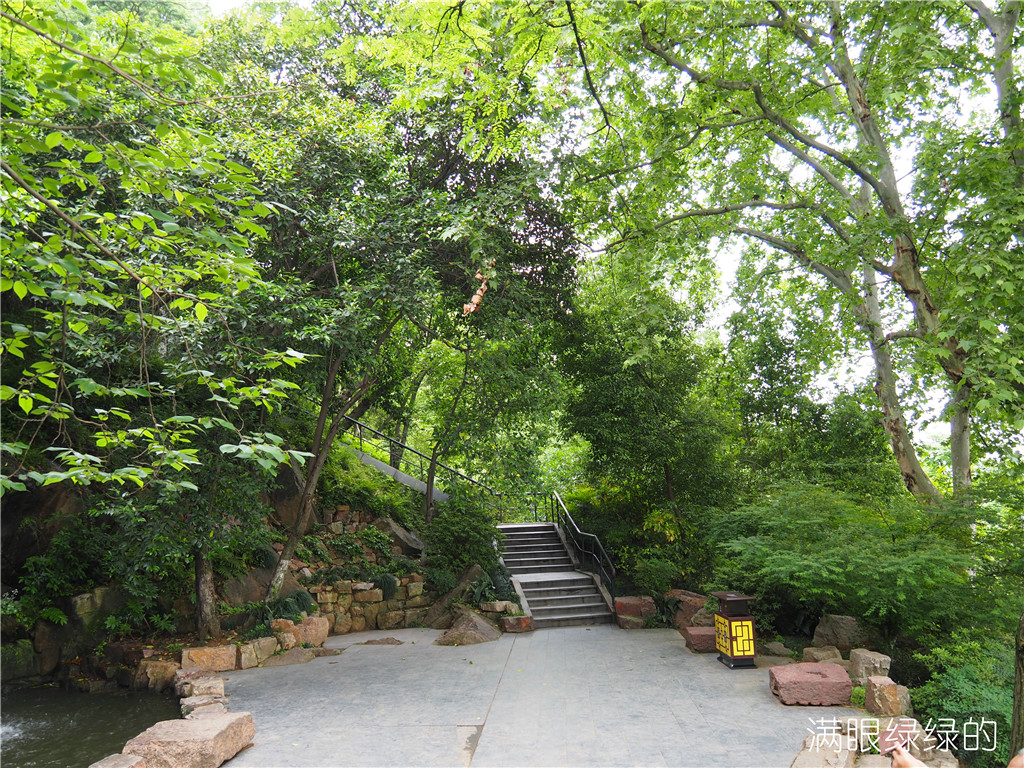 P4240038_dh.jpg