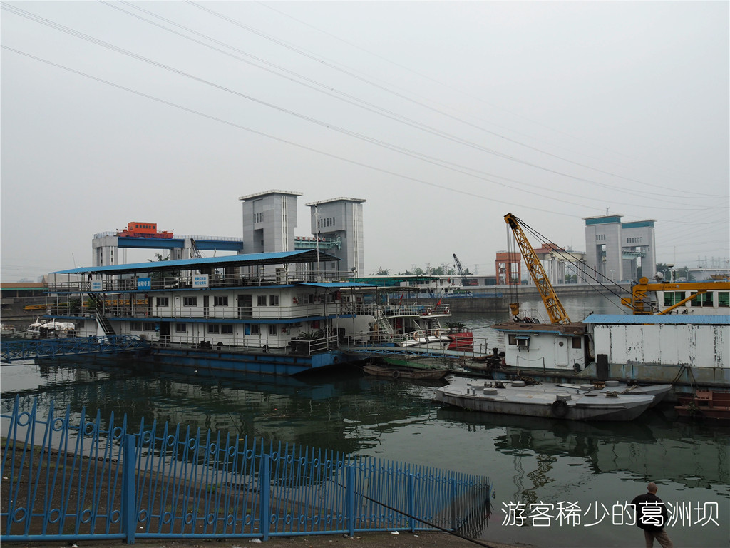 P4250155_dh.jpg