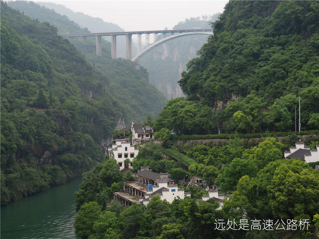 P4250230_dh.jpg