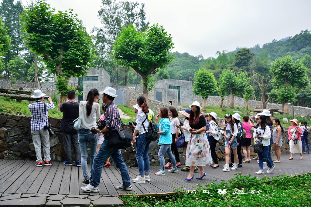 19旅游日体验游——赏玫瑰花看国宝大熊猫